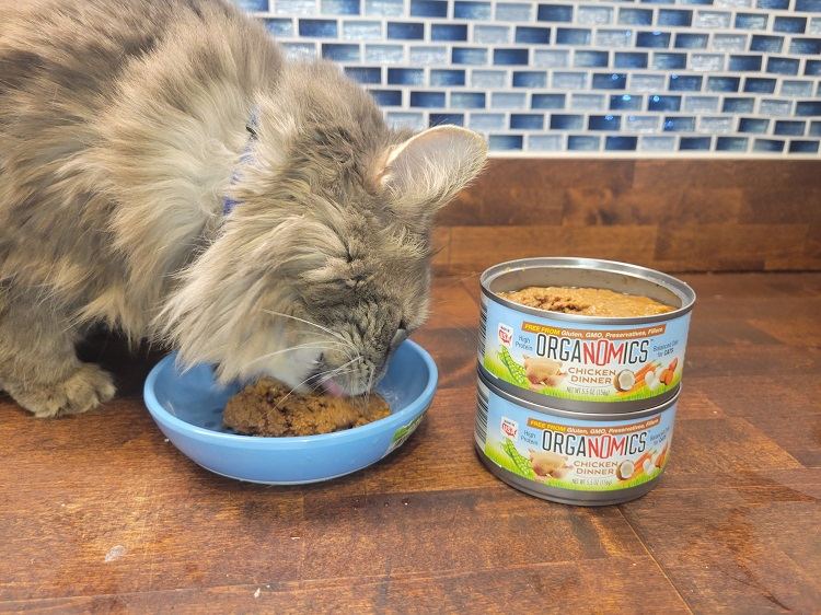 Grain-Free Pate Wet Cat Food： OrgaNOMics Chicken Dinner Review