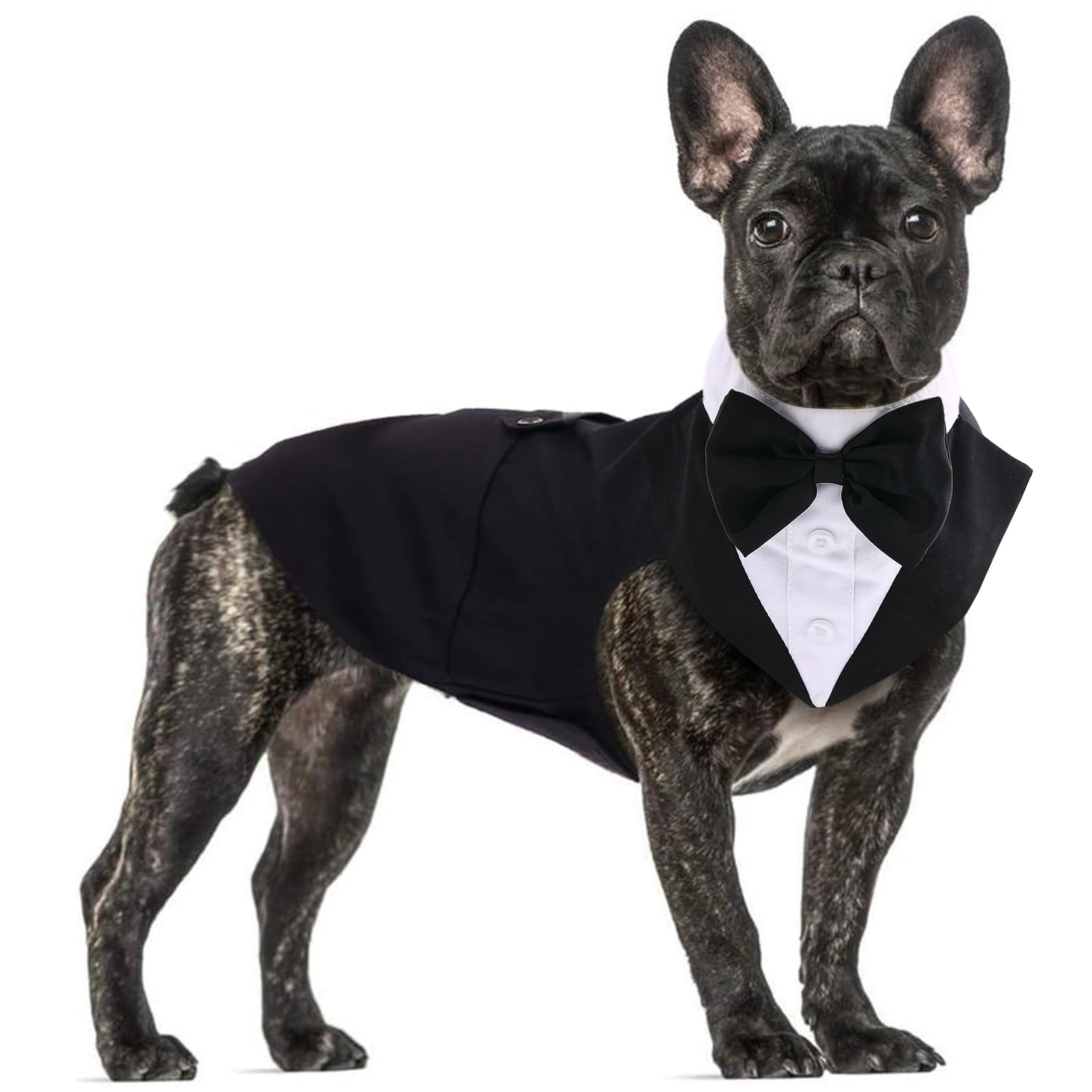 Elegant Dog Dinner Jackets – Dress Your Pup in Style for Special Events