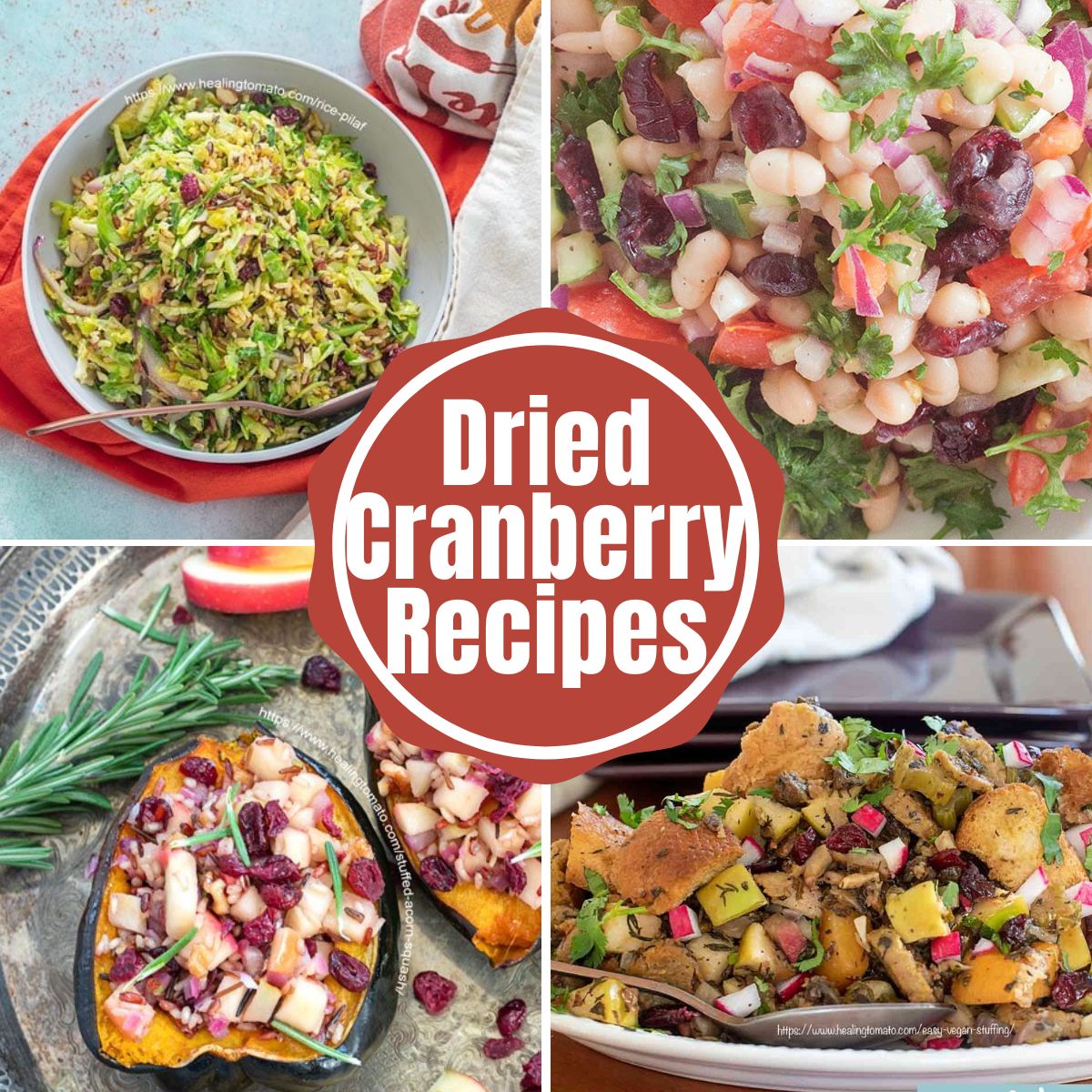 The Best Techniques for Blending Dried Cranberries into Delicious Dishes