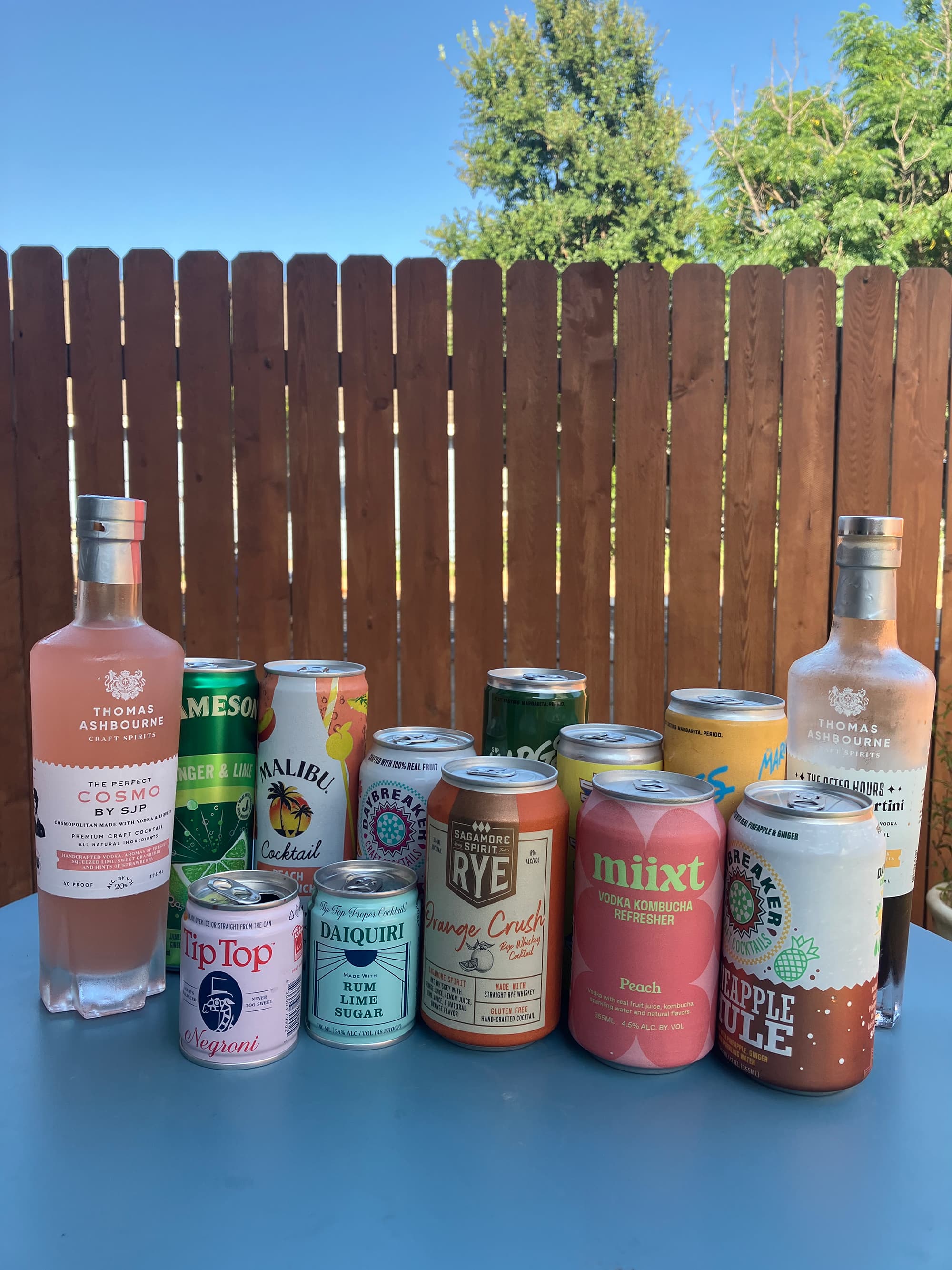 Best Canned Drinks： Top Ready-to-Drink Cocktails with Premium Flavors