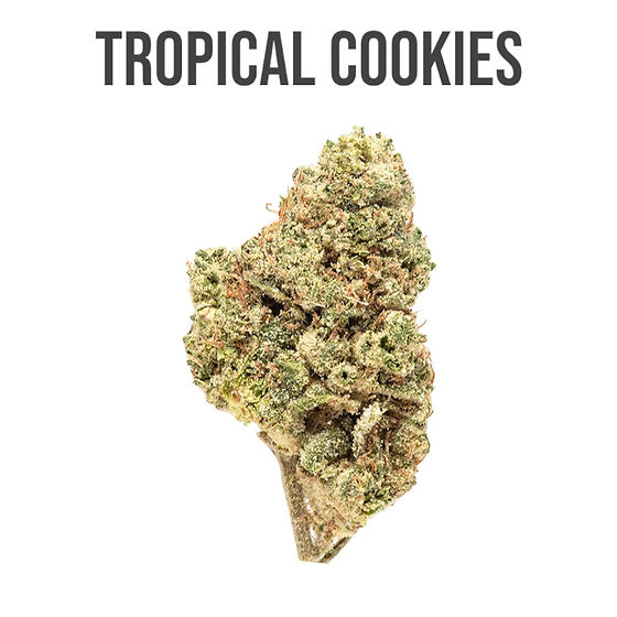 Tropical Cookies Strain: Euphoric Energy & Tropical Flavors