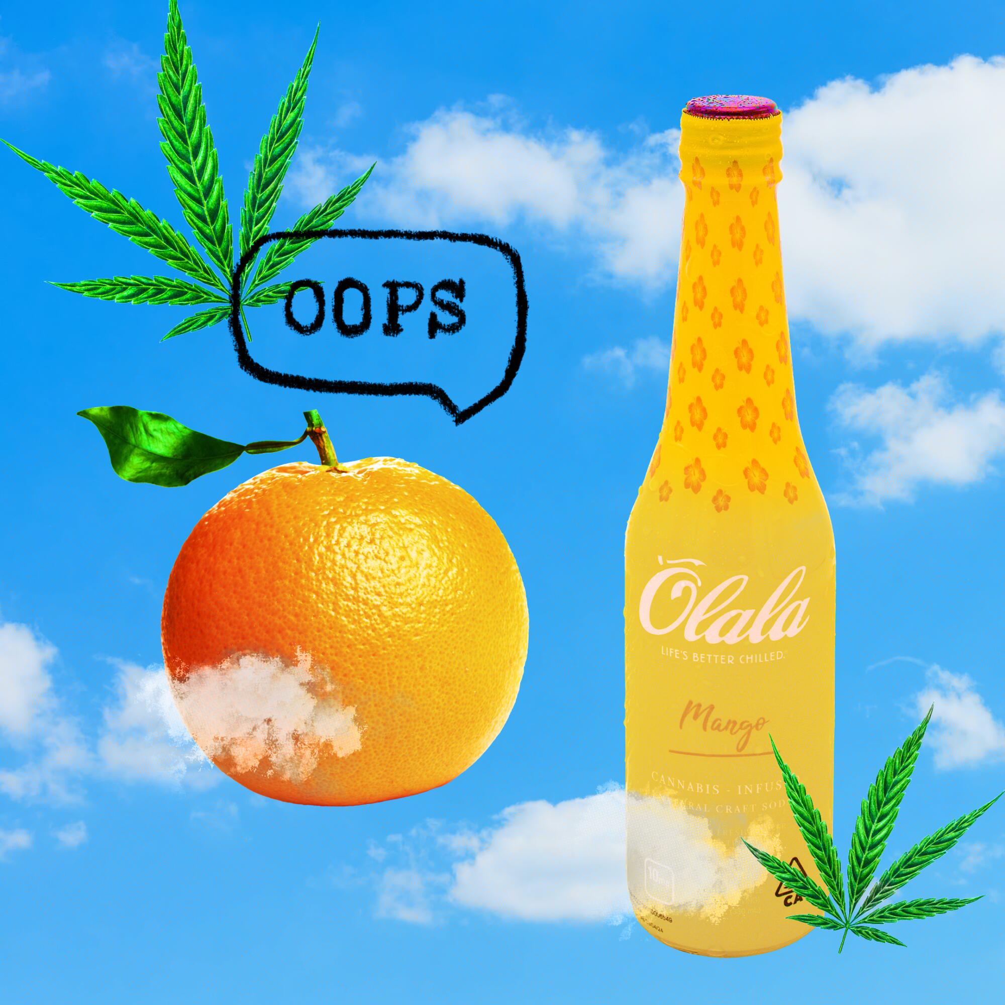 Is It Safe to Drink Orange Juice with Cannabis? Find Out the Truth