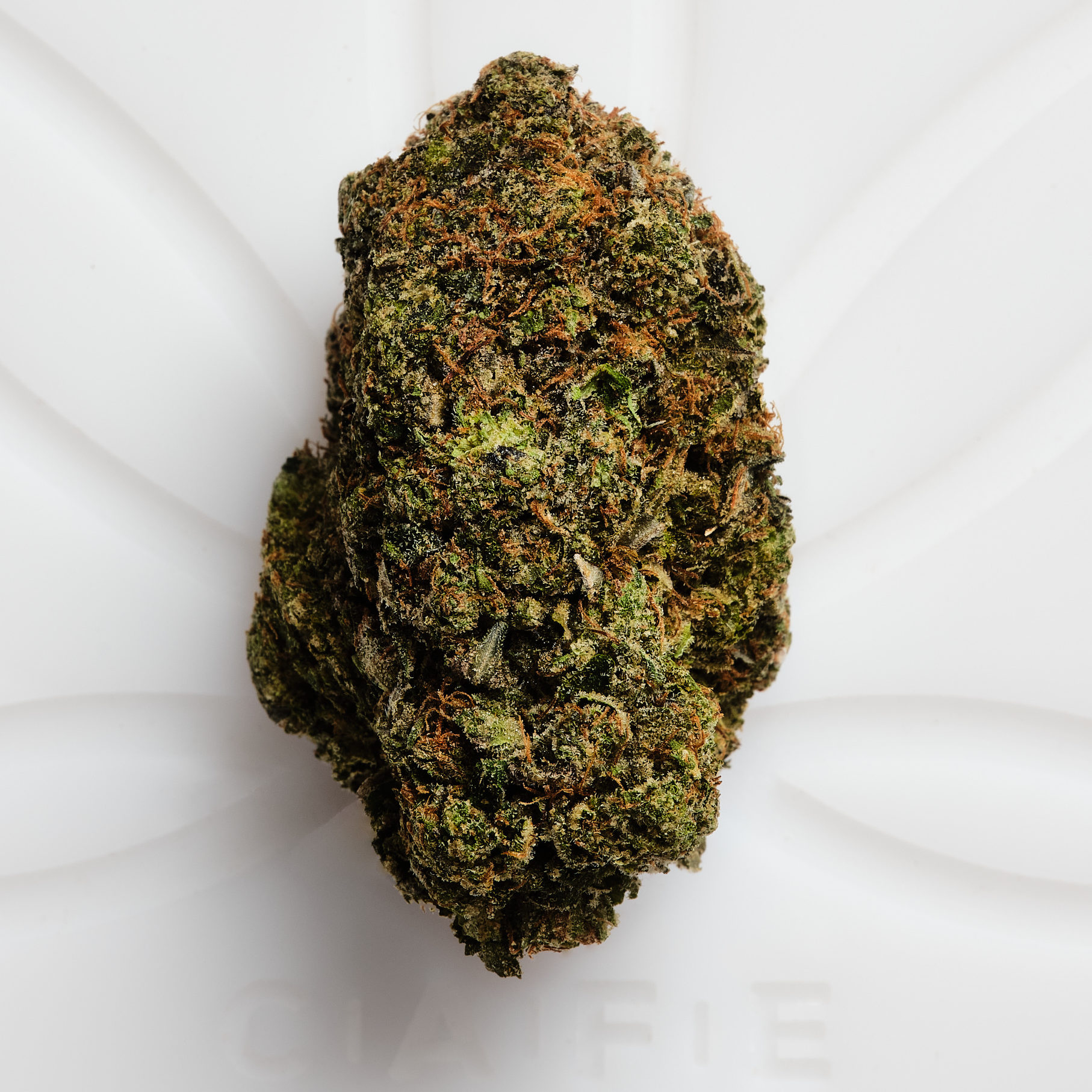 Pink Cookies Strain Guide: Effects, THC Levels, and Flavor Notes