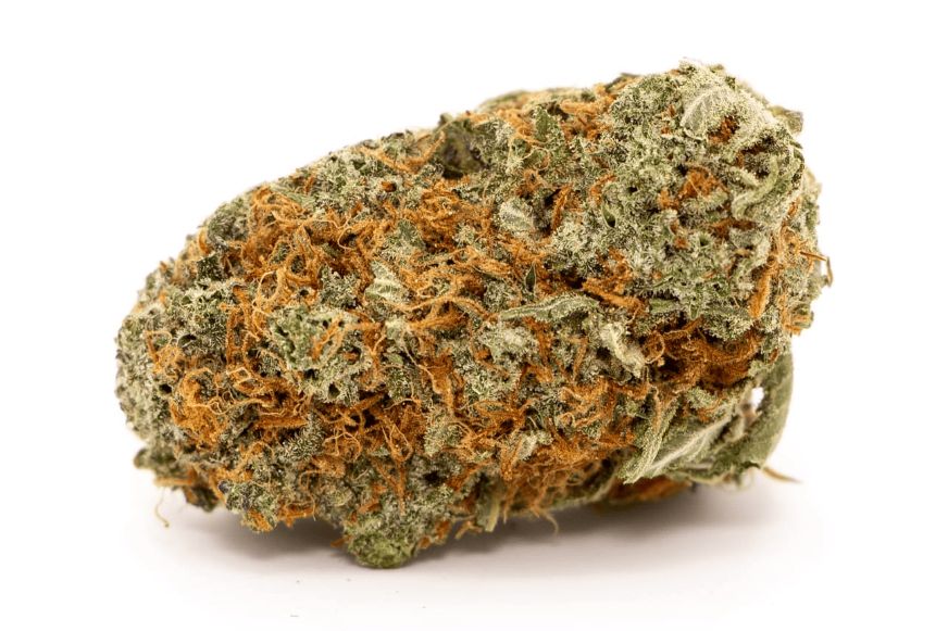 Orange Cookies x Zanimal Strain Review: Effects, Aromas, and Potency Guide