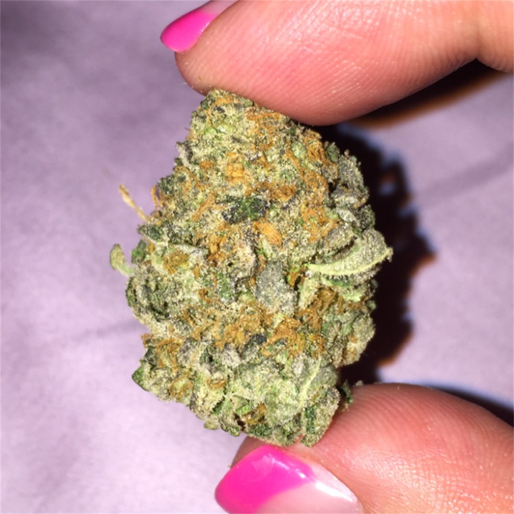 Pink Cookies Strain Guide: Effects, THC Levels, and Flavor Notes