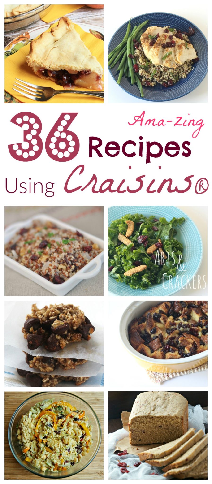 Craisin Recipes: Delicious and Easy Ideas