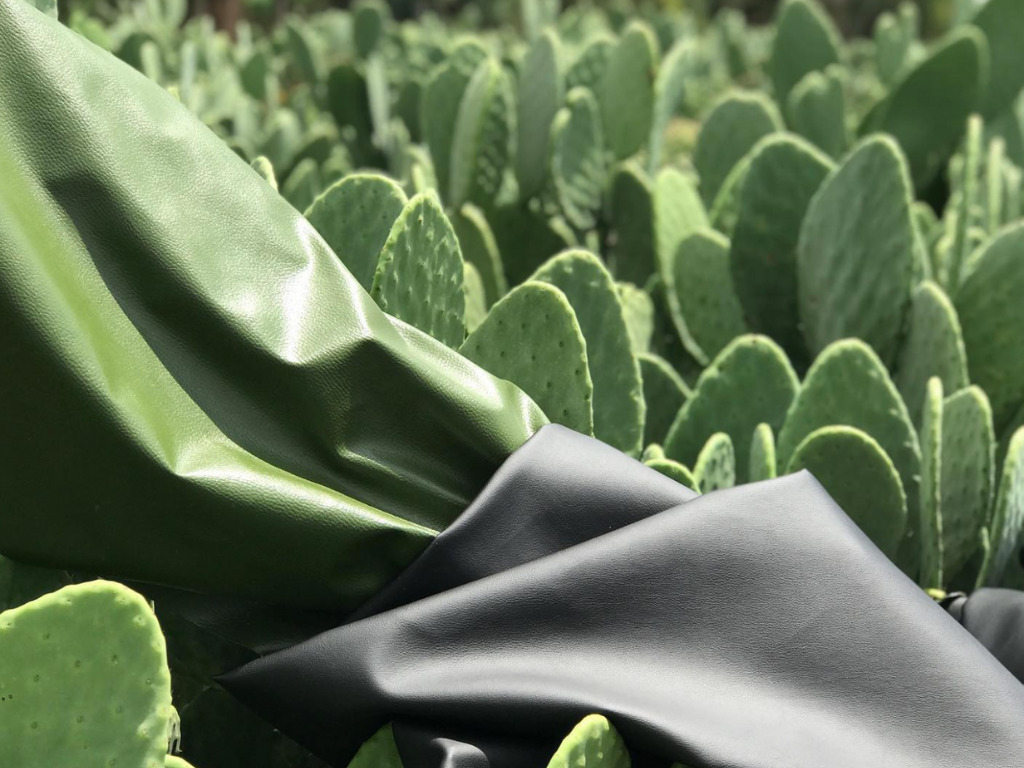 Desserto leather: a sustainable material. Is it the future of fashion?