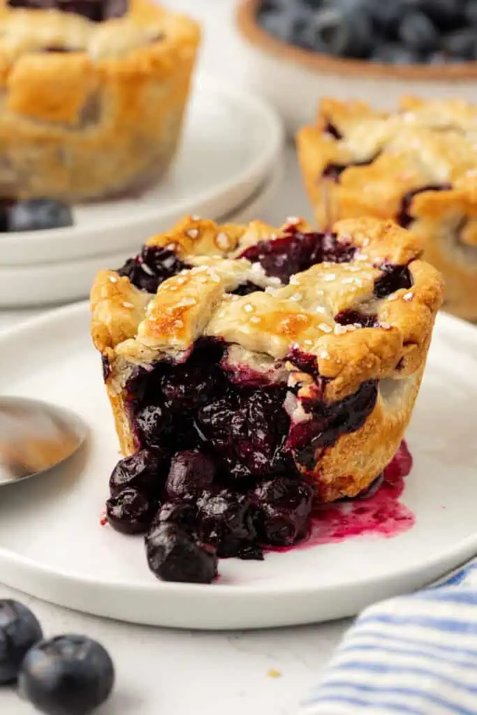 Yummy Canned Blueberry Pie Filling Recipes: Simple Homemade Desserts(Tips for Perfect Blueberry Pies)