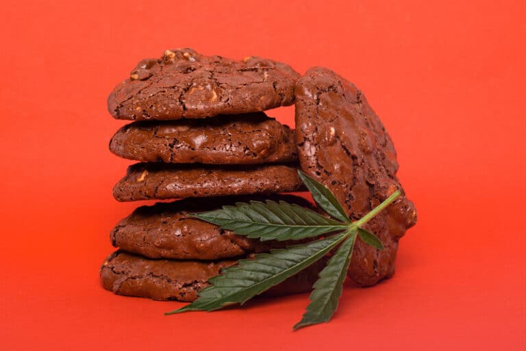 Top Cannabis Cookie Recipes: The Ultimate Guide to Baking