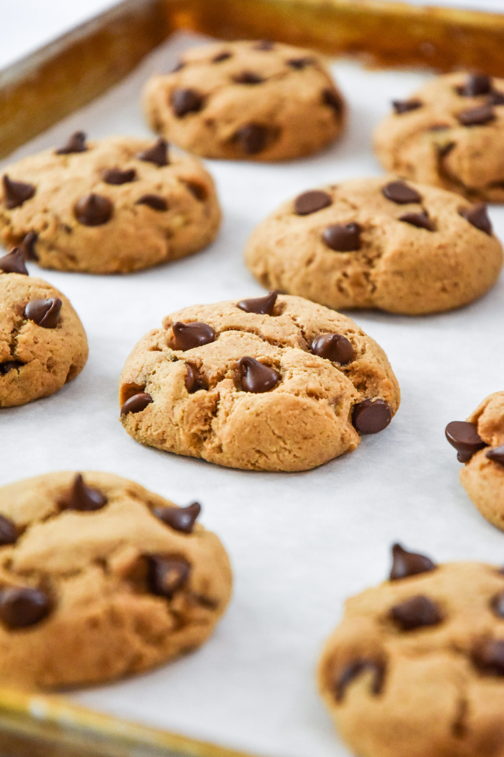 Got Pancake Mix? Make These Easy and Delicious Cookies!