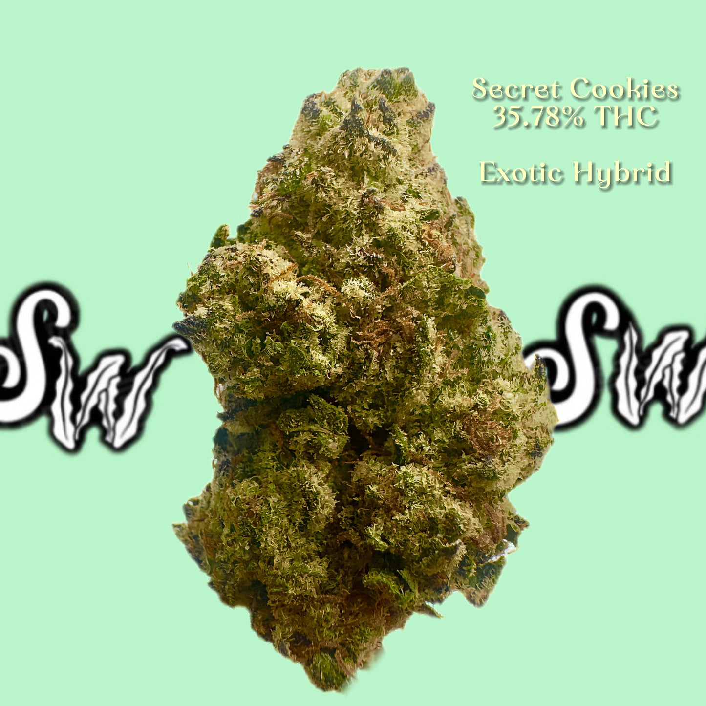 Secret Cookies Strain: What Does It Taste and Smell Like?