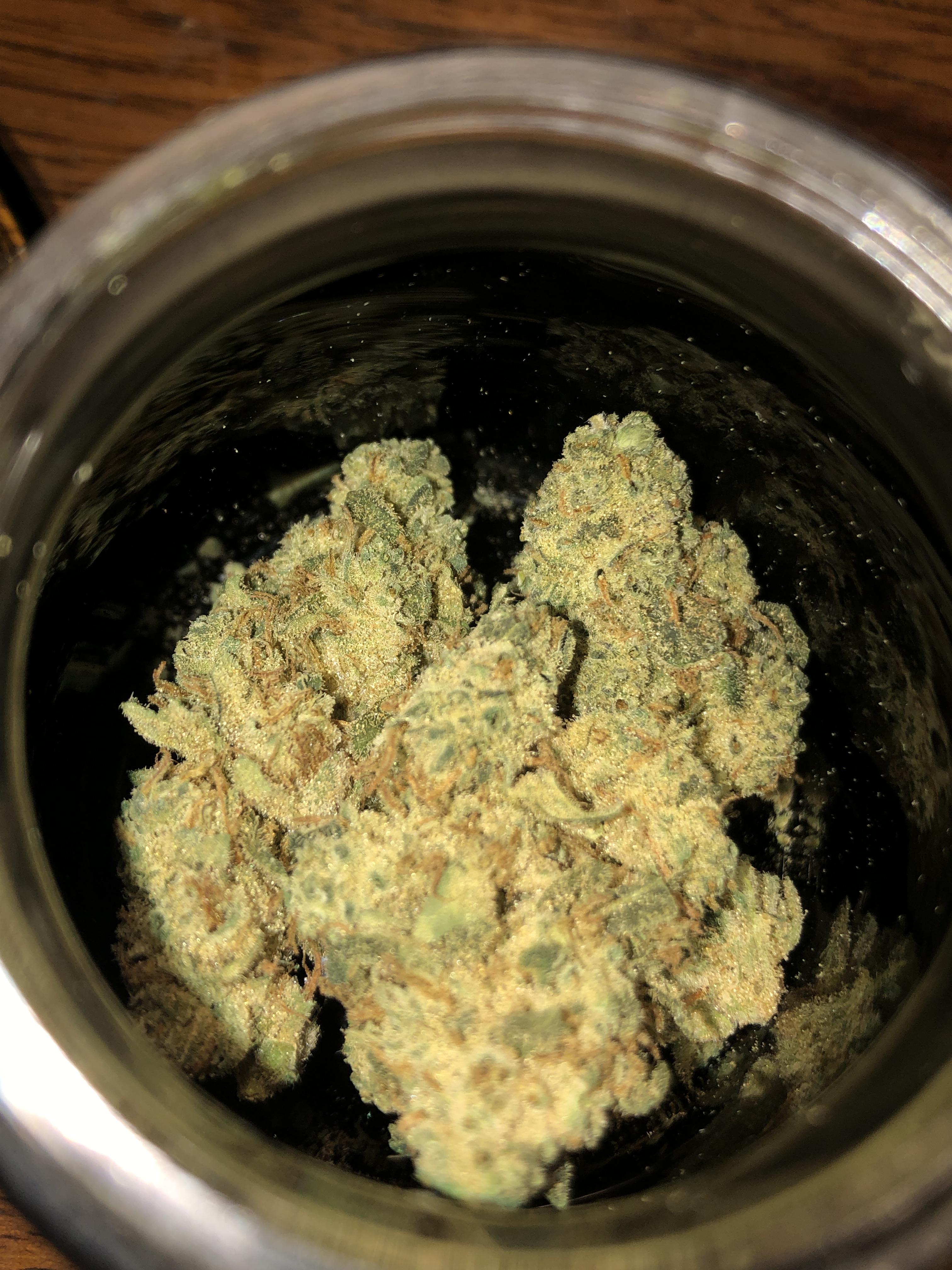 Exploring the Buzz: Cookies and Chem Strain Review