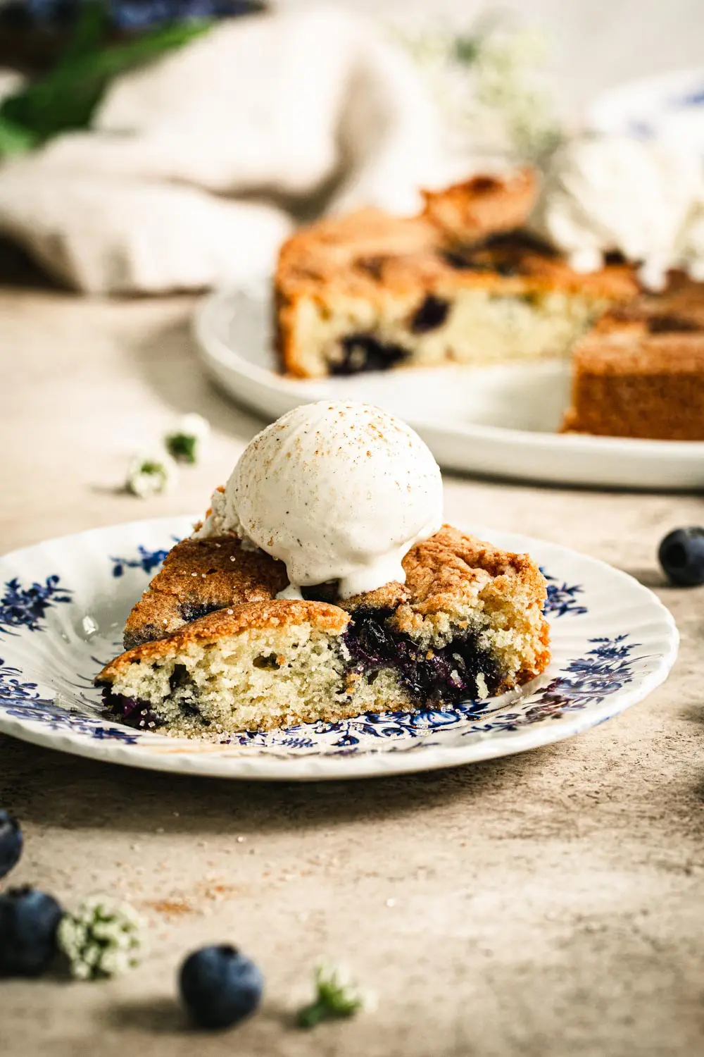 Delicious Blueberry Torte Dessert: Wow Your Guests With This Simple Recipe