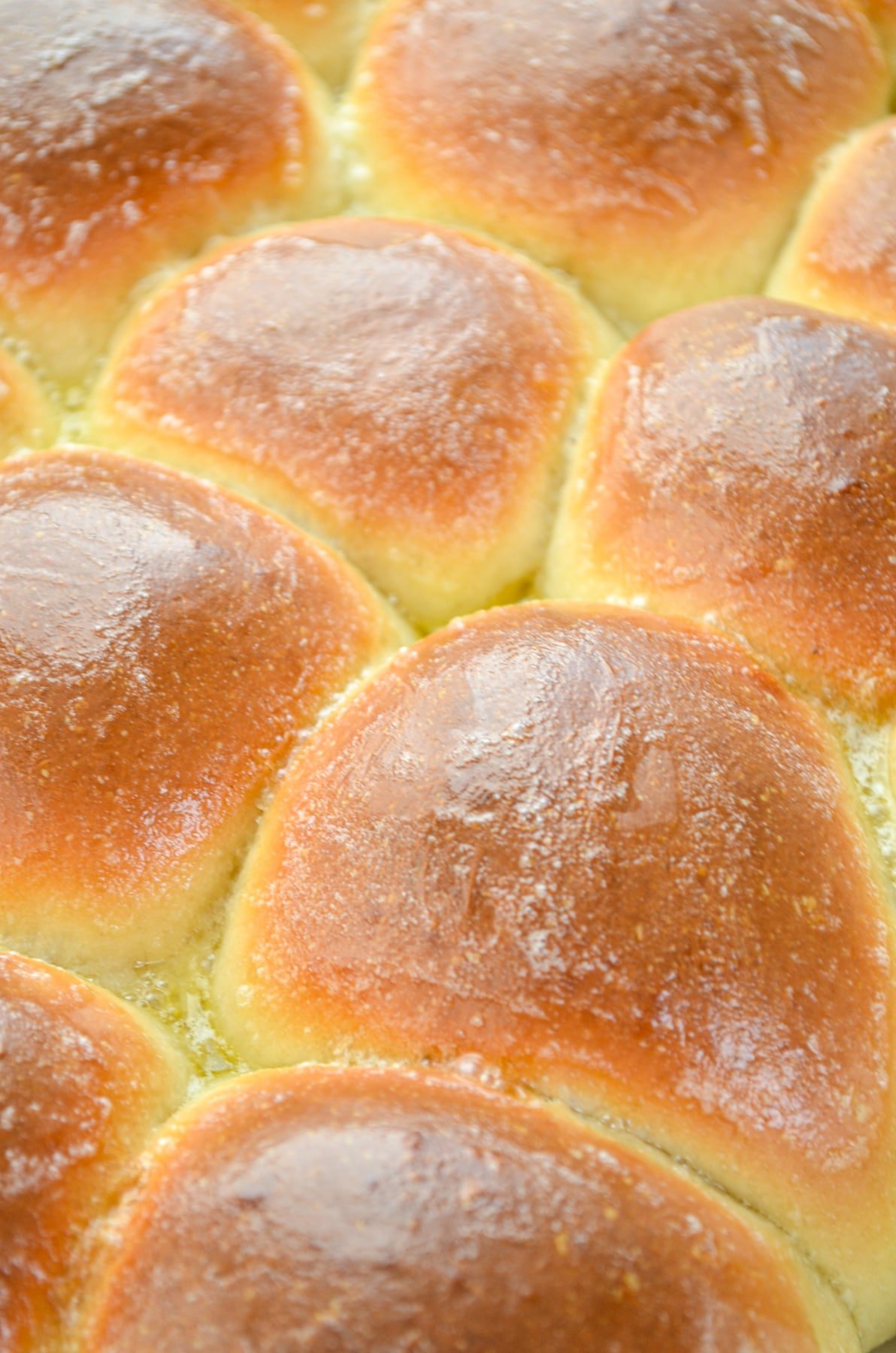 Fluffy Snowflake Dinner Rolls: A Step-by-Step Baking Guide