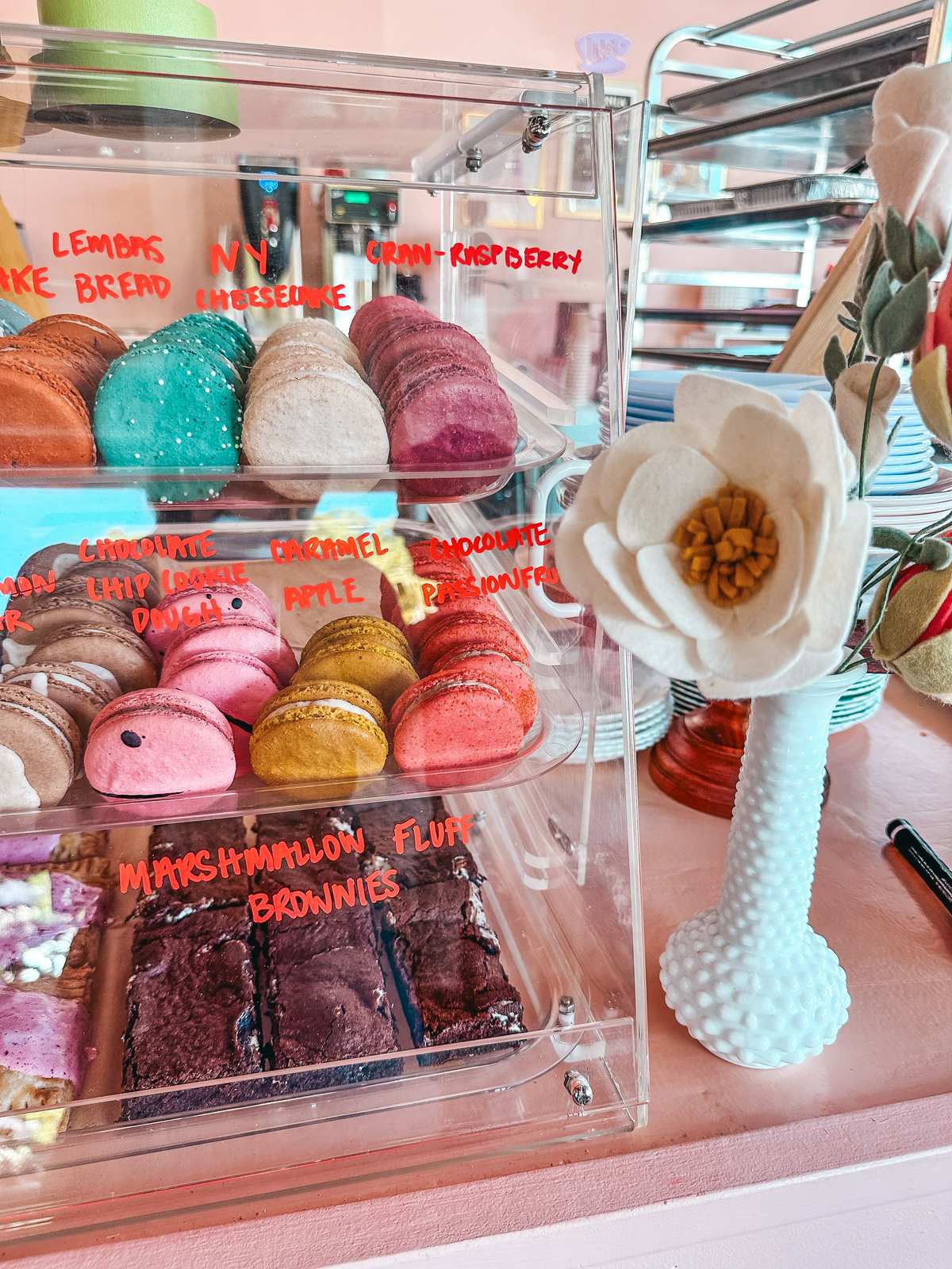 Explore Dessert Tampa: Top Bakeries and Sweet Shops to Visit