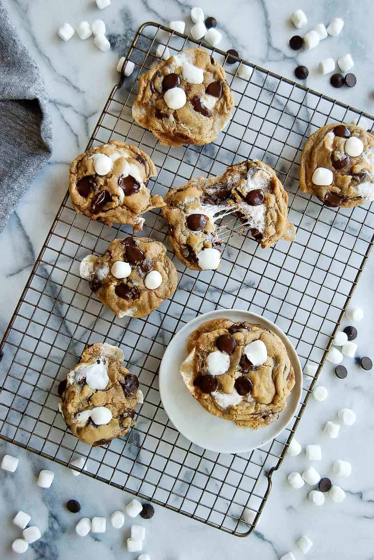 Want Perfect Chocolate Chip Marshmallow Cookies: Try This Recipe.