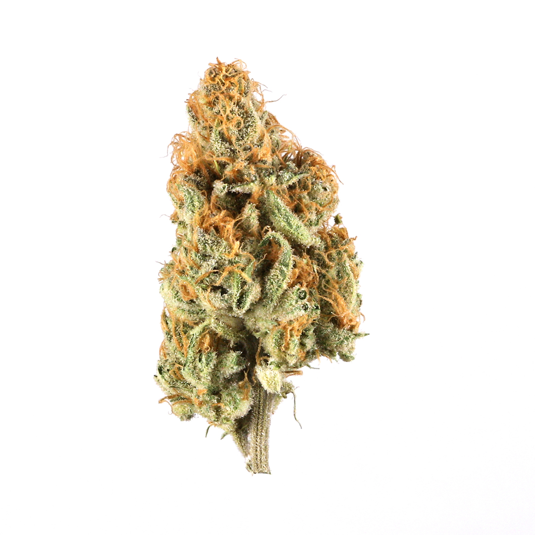 Get to Know Ice Cream Cookies Strain: Aroma, Flavor, and Effects