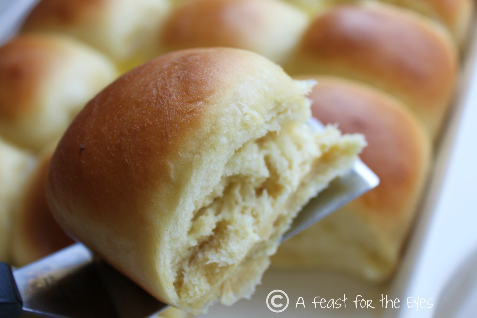 Craving Golden Corral Dinner Rolls? Try This Simple Recipe