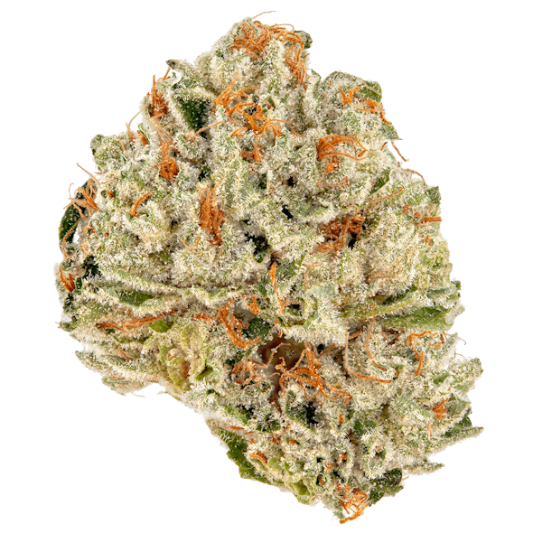 Where to Buy Fortune Cookie Strain? Find the Best Deals