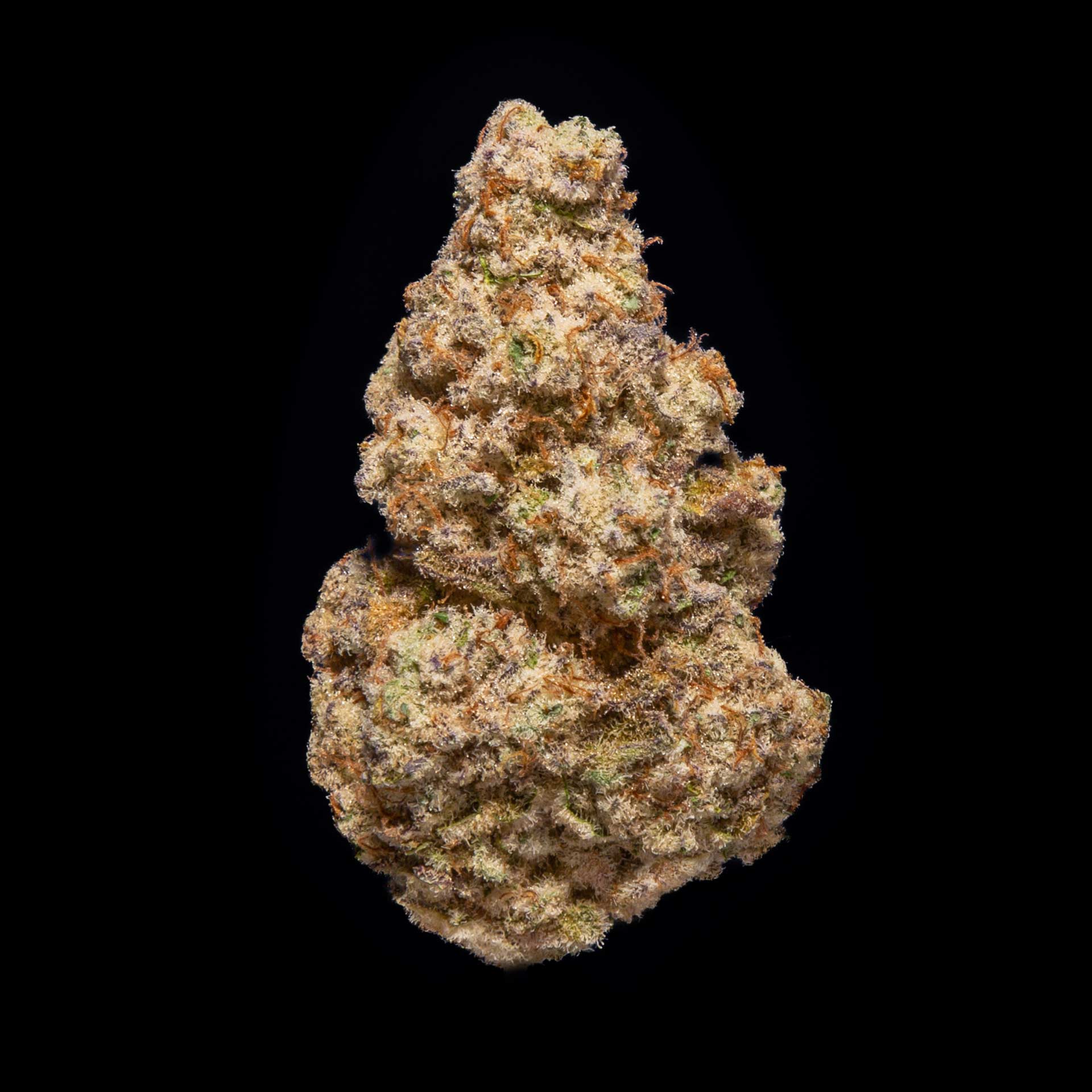 Miracle Alien Cookies Strain Review: Is It Really That Good?