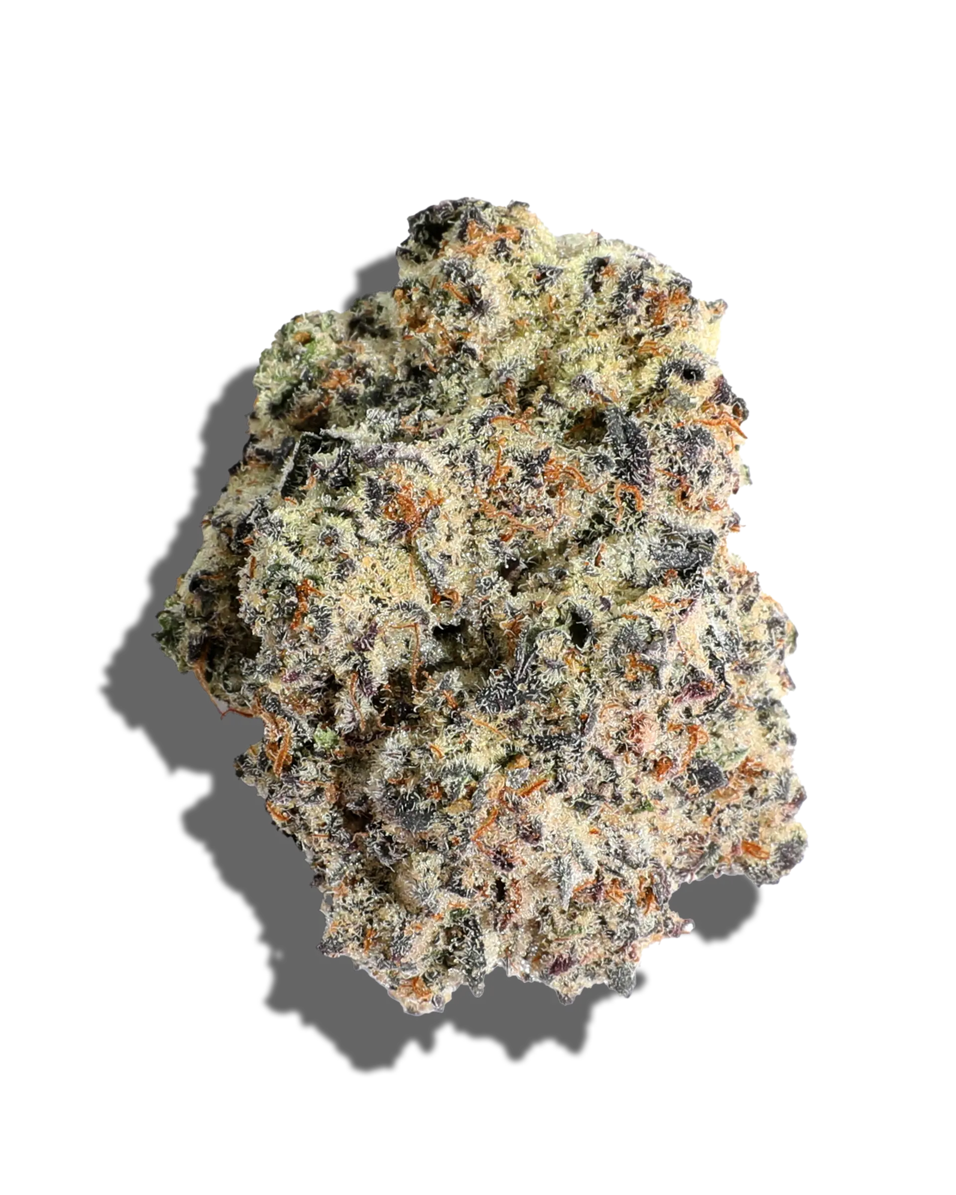 Secret Cookies Strain: What Does It Taste and Smell Like?