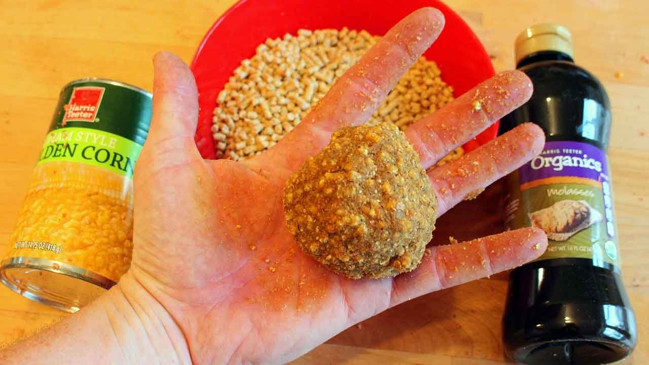 DIY Carp Bait Recipes: Cheap and Easy to Make