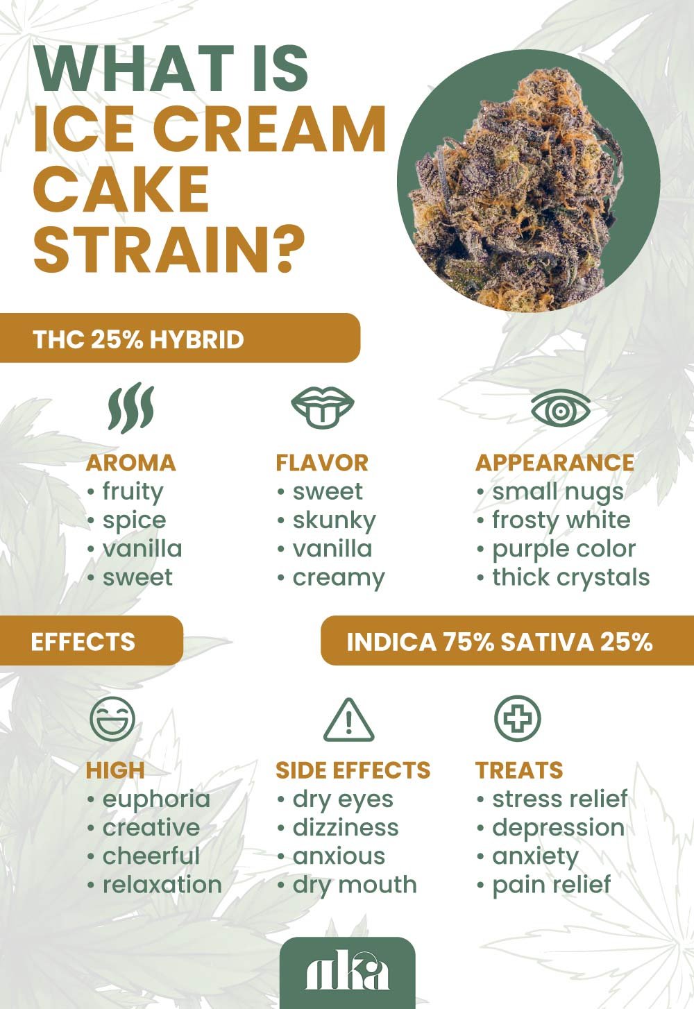 Get to Know Ice Cream Cookies Strain: Aroma, Flavor, and Effects