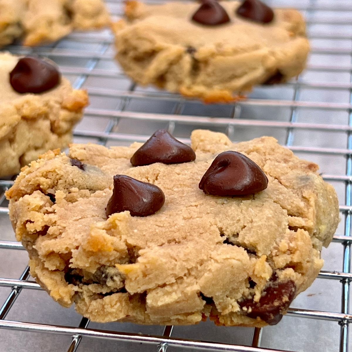 Cottage Cheese Chocolate Chip Cookies: Are They Really Healthy? Find Out Here!