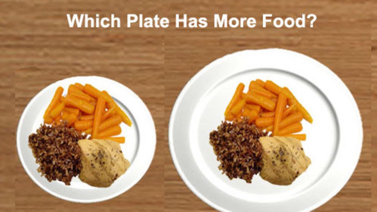 Average Dinner Plate Size Trends: Are We Eating from Bigger Plates Than Before?