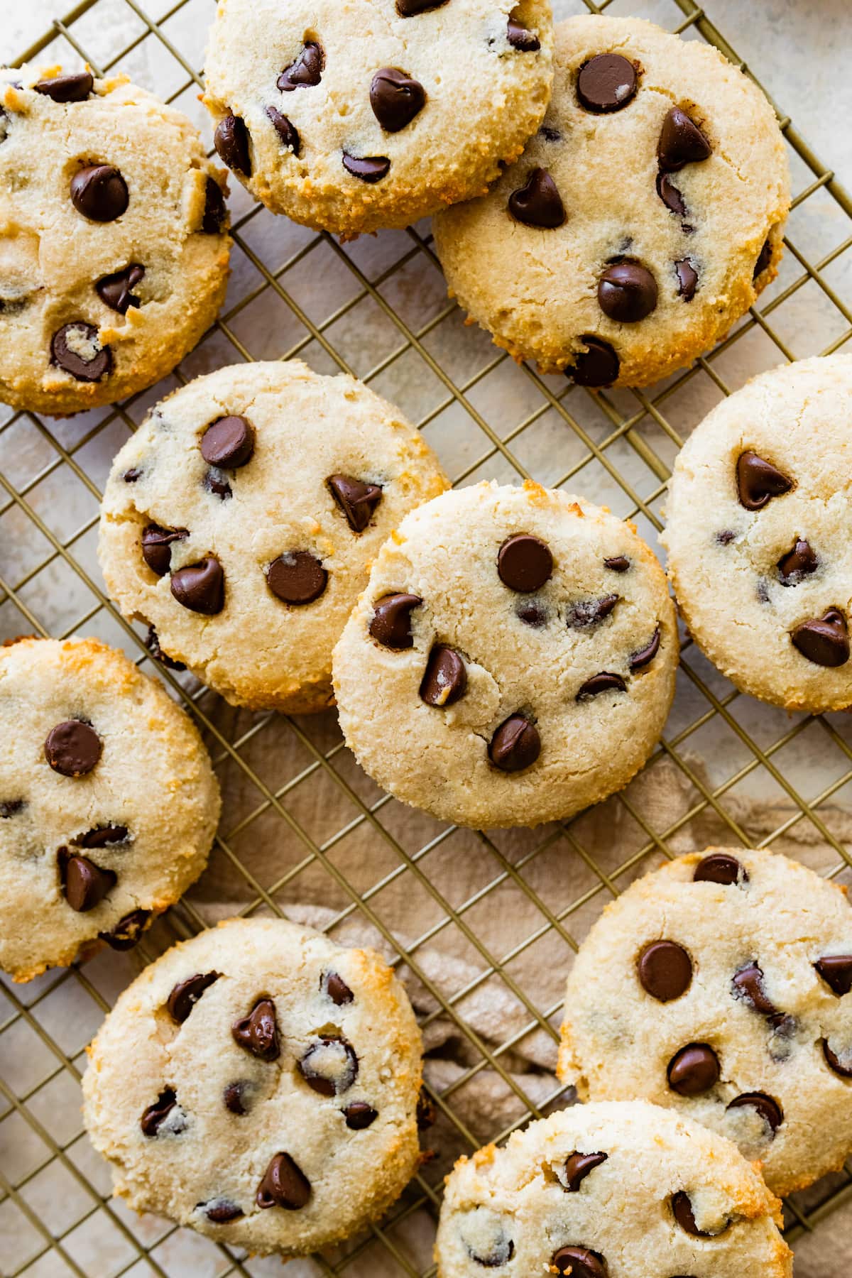 Cottage Cheese Chocolate Chip Cookies: Are They Really Healthy? Find Out Here!