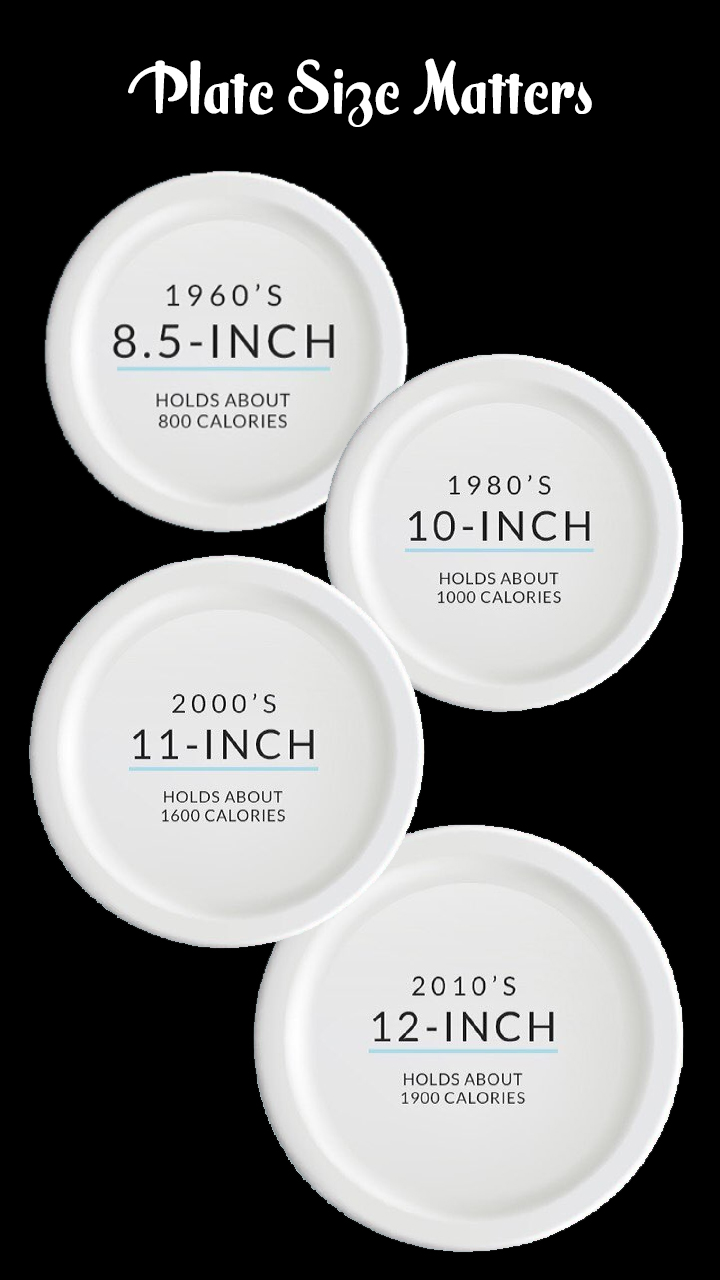 Average Dinner Plate Size Trends: Are We Eating from Bigger Plates Than Before?