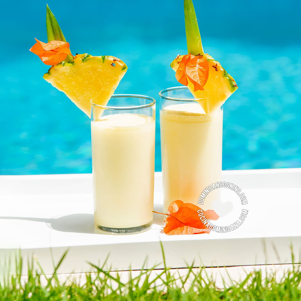 Dominican Republic Drinks: What to Try on Your Next Trip!