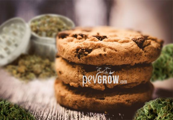 Homemade Ganja Cookies Recipe: Tips and Tricks for Perfect Pot Cookies