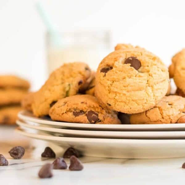 How do you make a cookie plate for beginners? Here are some tips for making your first cookie plate!