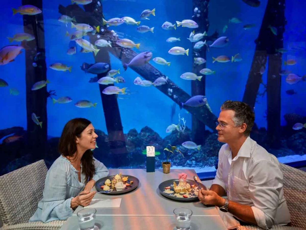 Aquarium Dinner Date: How to Plan the Perfect Romantic Night Out!