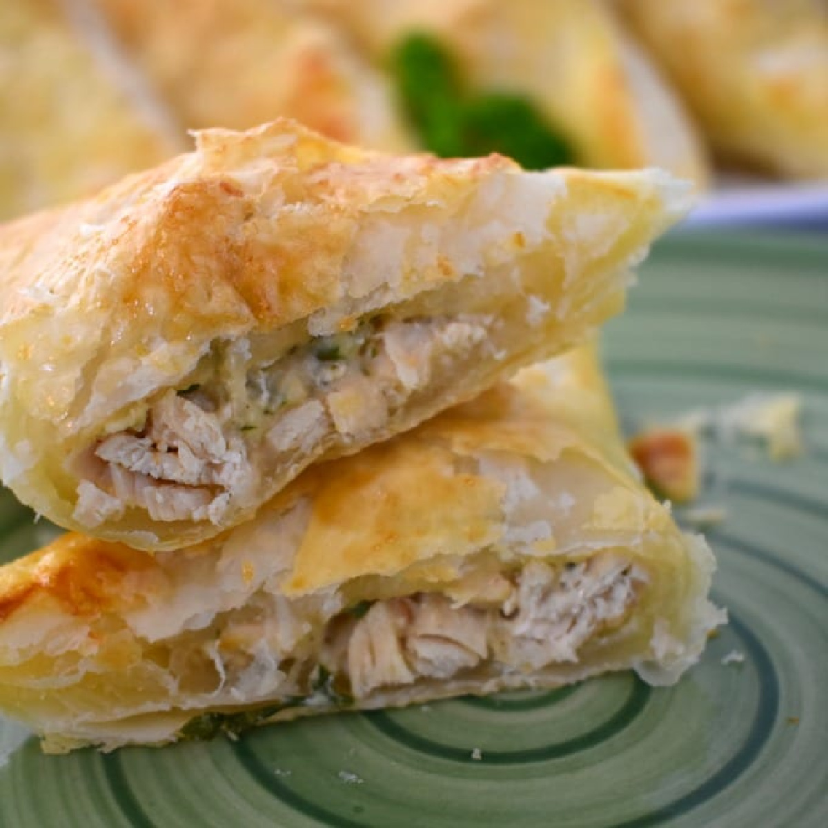 Delicious Chicken Pastry Recipes: Check These Amazing Dishes for Your Family